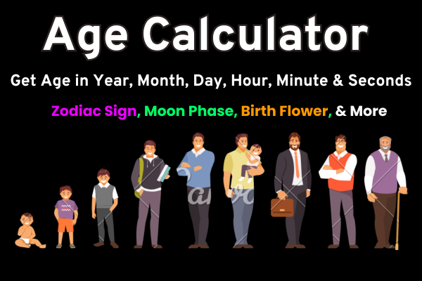 Age Calculator