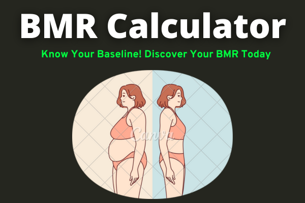 BMR Calculator